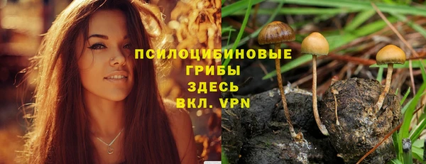 jwh Костерёво