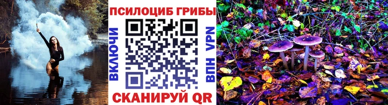 Псилоцибиновые грибы прущие грибы  Купить закладки  Лодейное Поле 
